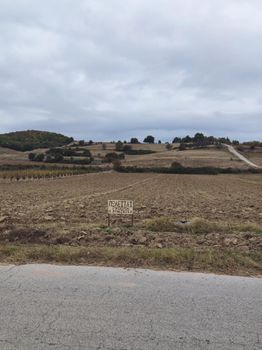Αγροτεμάχια 7.900 τ.μ. προς πώληση