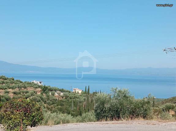 Land plot 1.555 sqm for sale, Messinia, Avia