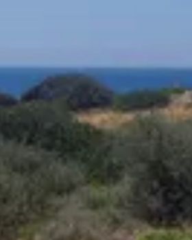 Οικόπεδο 7.100τ.μ. για πώληση-Νάξος » Καστράκι