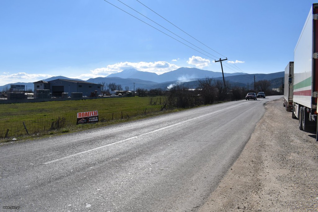 Αγροτεμάχια 8.750 τ.μ. προς πώληση, Πεδινή