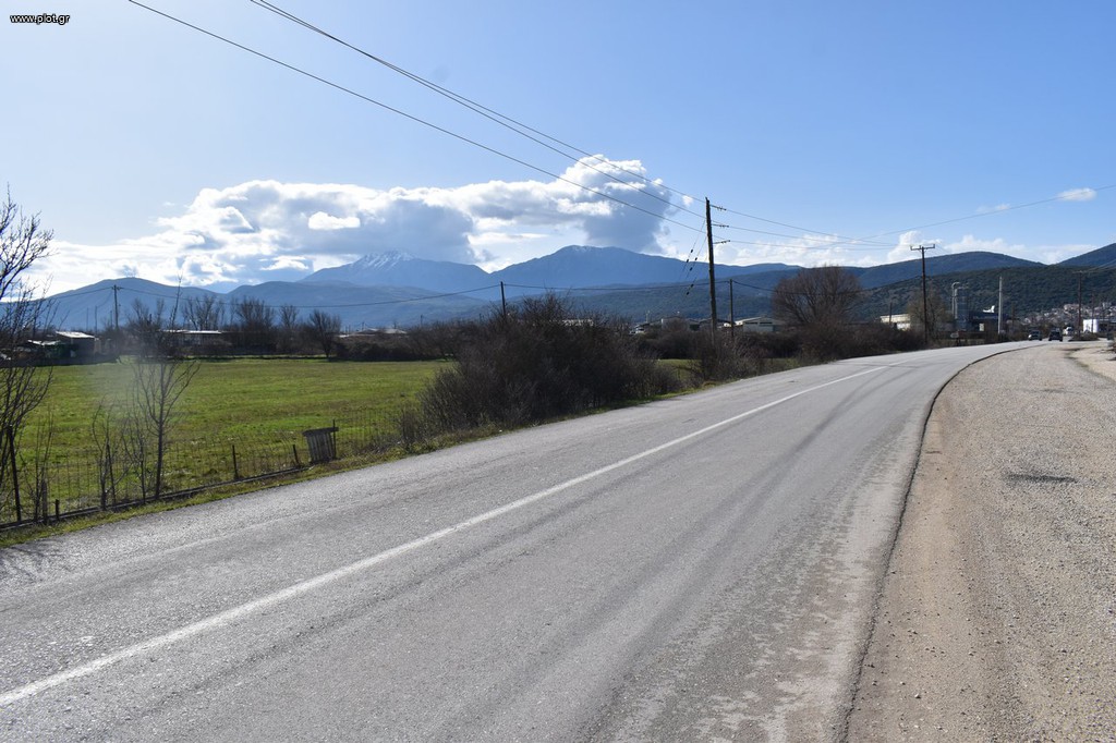 Αγροτεμάχια 8.750 τ.μ. προς πώληση, Πεδινή