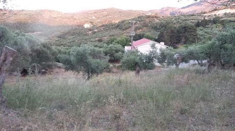 Οικόπεδο 1.500 τ.μ. για πώληση