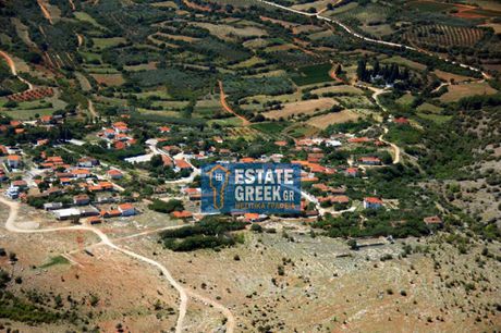 Αγροτεμάχια 4.635τ.μ. για πώληση-Χρυσούπολη » Αβραμυλιά