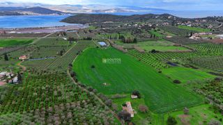 Αγροτεμάχια 33.462 τ.μ. για πώληση, Αργολίδα, Ερμιόνη-thumb-8