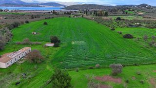 Αγροτεμάχια 33.462 τ.μ. για πώληση, Αργολίδα, Ερμιόνη-thumb-3