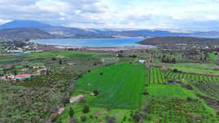 Αγροτεμάχια 33.462 τ.μ. για πώληση, Αργολίδα, Ερμιόνη-thumb-1