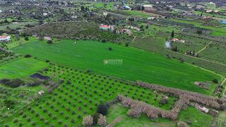 Αγροτεμάχια 33.462 τ.μ. για πώληση, Αργολίδα, Ερμιόνη-thumb-17