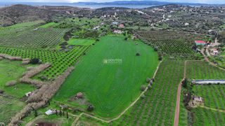 Αγροτεμάχια 33.462 τ.μ. για πώληση, Αργολίδα, Ερμιόνη-thumb-5