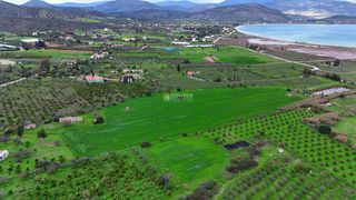 Αγροτεμάχια 33.462 τ.μ. για πώληση, Αργολίδα, Ερμιόνη-thumb-15