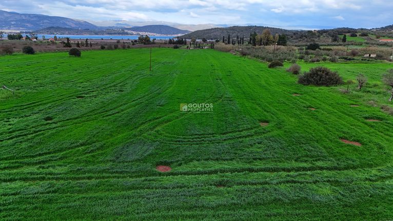Αγροτεμάχια 33.462 τ.μ. για πώληση, Αργολίδα, Ερμιόνη