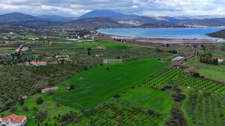 Αγροτεμάχια 33.462 τ.μ. για πώληση, Αργολίδα, Ερμιόνη-thumb-12
