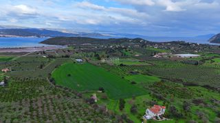 Αγροτεμάχια 33.462 τ.μ. για πώληση, Αργολίδα, Ερμιόνη-thumb-11