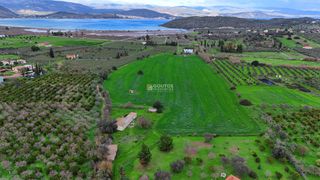Αγροτεμάχια 33.462 τ.μ. για πώληση, Αργολίδα, Ερμιόνη-thumb-9