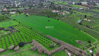 Αγροτεμάχια 33.462 τ.μ. για πώληση, Αργολίδα, Ερμιόνη-thumb-10