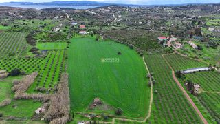 Αγροτεμάχια 33.462 τ.μ. για πώληση, Αργολίδα, Ερμιόνη-thumb-18