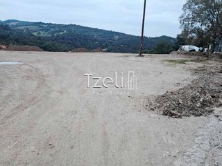 Οικόπεδο 4.628 τ.μ. για πώληση, Αχαΐα, Μεσσατίδα-thumb-16
