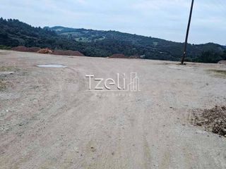 Οικόπεδο 4.628 τ.μ. για πώληση, Αχαΐα, Μεσσατίδα-thumb-12