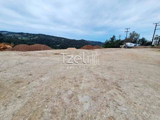 Οικόπεδο 4.628 τ.μ. για πώληση, Αχαΐα, Μεσσατίδα-thumb-4