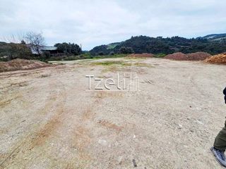 Οικόπεδο 4.628 τ.μ. για πώληση, Αχαΐα, Μεσσατίδα-thumb-6