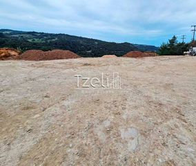 Οικόπεδο 4.628 τ.μ. για πώληση, Αχαΐα, Μεσσατίδα-thumb-15