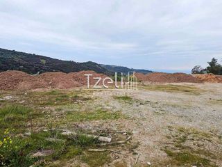 Οικόπεδο 4.628 τ.μ. για πώληση, Αχαΐα, Μεσσατίδα-thumb-9