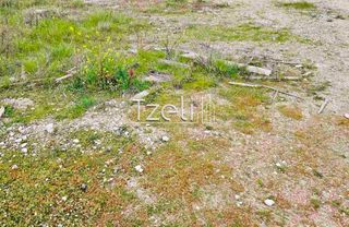 Οικόπεδο 4.628 τ.μ. για πώληση, Αχαΐα, Μεσσατίδα-thumb-8