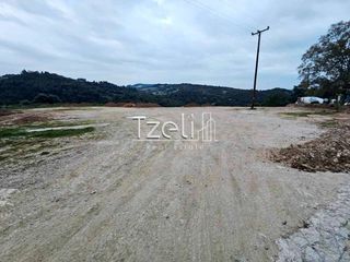 Οικόπεδο 4.628 τ.μ. για πώληση, Αχαΐα, Μεσσατίδα-thumb-1
