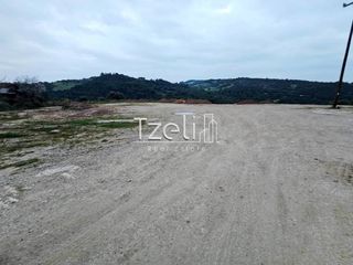 Οικόπεδο 4.628 τ.μ. για πώληση, Αχαΐα, Μεσσατίδα-thumb-7
