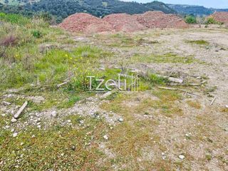 Οικόπεδο 4.628 τ.μ. για πώληση, Αχαΐα, Μεσσατίδα-thumb-5