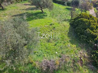 Οικόπεδο 535 τ.μ. για πώληση, Αχαΐα, Μεσσατίδα-thumb-7
