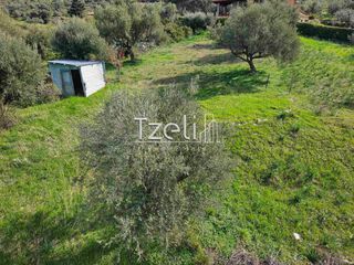 Οικόπεδο 535 τ.μ. για πώληση, Αχαΐα, Μεσσατίδα-thumb-8