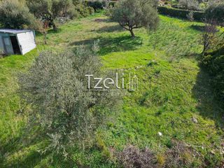 Οικόπεδο 535 τ.μ. για πώληση, Αχαΐα, Μεσσατίδα-thumb-1