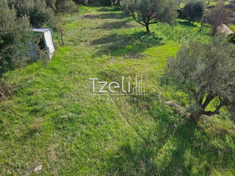 Land plot 535sqm for sale-Messatida » Kallitheokampos