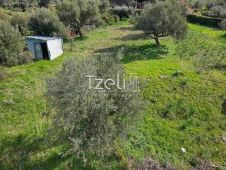 Οικόπεδο 535 τ.μ. για πώληση, Αχαΐα, Μεσσατίδα-thumb-4