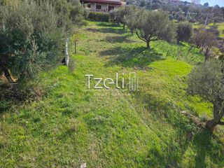Οικόπεδο 535 τ.μ. για πώληση, Αχαΐα, Μεσσατίδα-thumb-2
