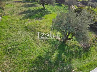 Οικόπεδο 535 τ.μ. για πώληση, Αχαΐα, Μεσσατίδα-thumb-9