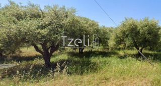 Οικόπεδο 550 τ.μ. για πώληση, Αχαΐα, Παραλία-thumb-8