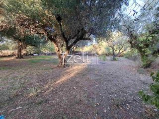 Οικόπεδο 427 τ.μ. για πώληση
