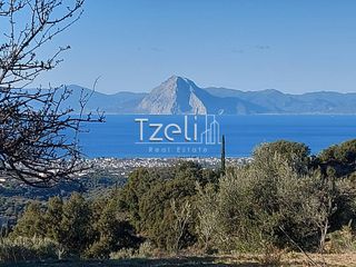 Οικόπεδο 2.000 τ.μ. για πώληση, Αχαΐα, Μεσσατίδα-thumb-2