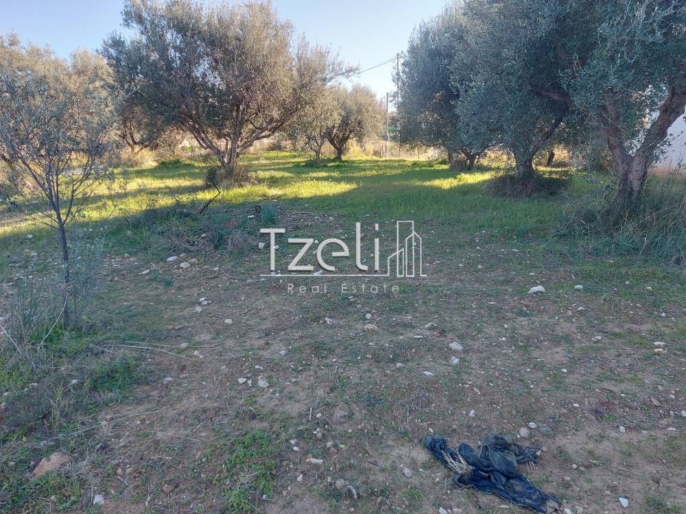 Οικόπεδο 2.000 τ.μ. για πώληση, Αχαΐα, Μεσσατίδα