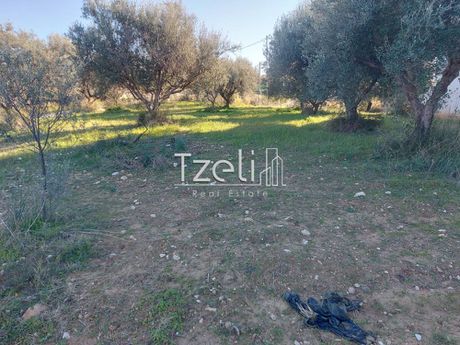 Land plot 2.000sqm for sale-Messatida » Kallitheokampos