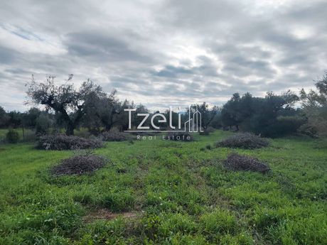 Land plot 5.100sqm for sale-Dytikis Achaias » Alissos