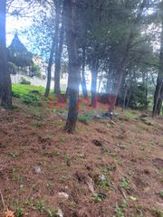 Οικόπεδο 825 τ.μ. προς πώληση, Αθήνα - Βόρεια Προάστια, Διόνυσος-thumb-2
