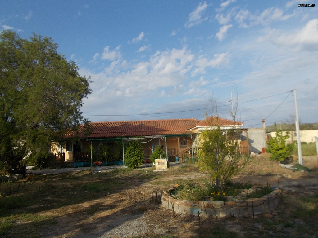 Συγκρότημα διαμερισμάτων 136 τ.μ. πρός πώληση, Ν. Λέσβου, Λήμνος - Μούδρος