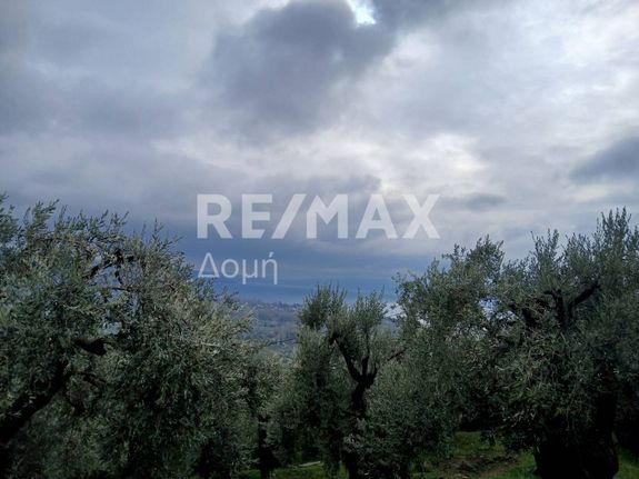 Αγροτεμάχια 1.000 τ.μ. για πώληση, Μαγνησία, Μηλιές