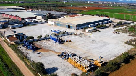 Βιομηχανικός χώρος 5.173τ.μ. για ενοικίαση-Αλμυρός » Νέος πλάτανος