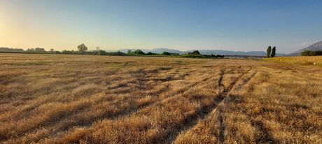 Αγροτεμάχια 40.000τ.μ. για πώληση-Ιερά πόλη μεσολογγίου