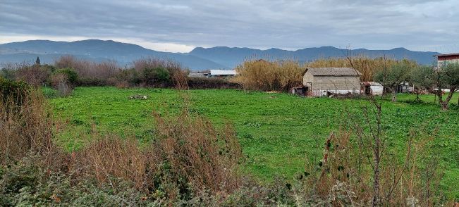 Land plot 8.100 sqm for sale, Aetolia & Acarnania, Iera Poli Messologiou