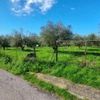 Οικόπεδο 2.584τ.μ. για πώληση-Ιερά πόλη μεσολογγίου