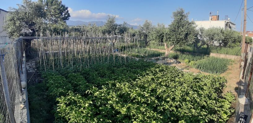 Οικόπεδο 360 τ.μ. πρός πώληση, Αιτωλοακαρνανία, Ιερά Πόλη Μεσολογγίου